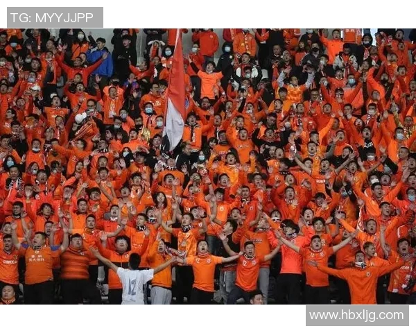 足球明星女友现场观赛尽显风采与魅力引发球迷热议